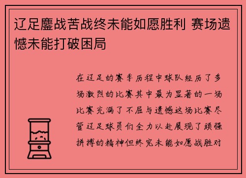 辽足鏖战苦战终未能如愿胜利 赛场遗憾未能打破困局