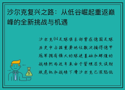 沙尔克复兴之路：从低谷崛起重返巅峰的全新挑战与机遇
